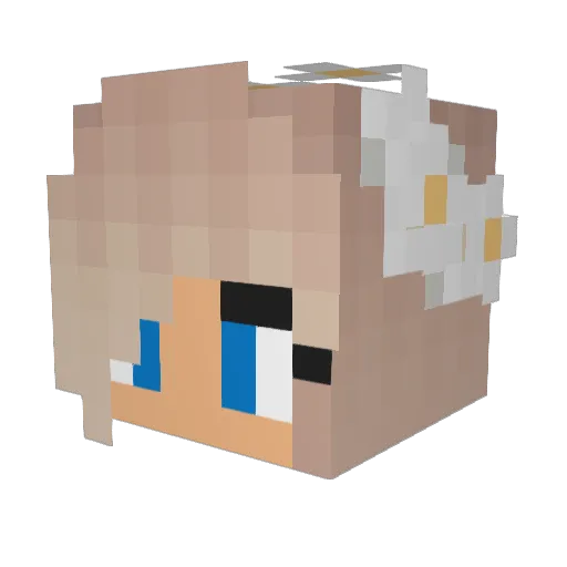 AJM0ney Minecraft avatar head, 3D render