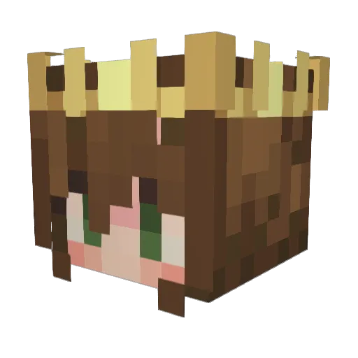 AJMyroniak1 Minecraft avatar head, 3D render