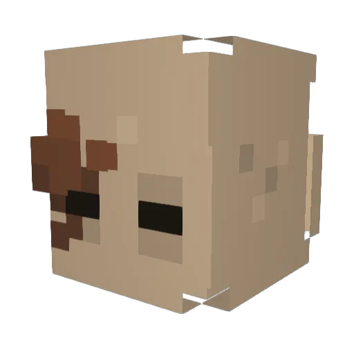 AJOutMode Minecraft avatar head, 3D render
