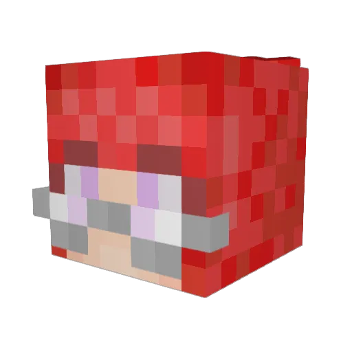 AJester11 Minecraft avatar head, 3D render