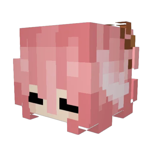 AJin3000 Minecraft avatar head, 3D render