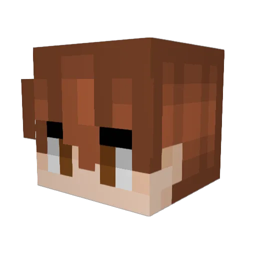 AK250o0 Minecraft avatar head, 3D render
