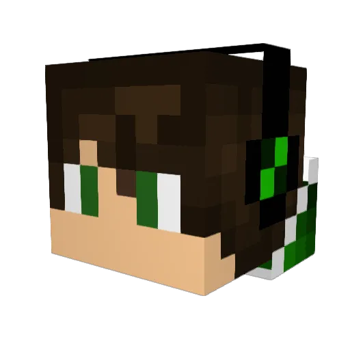 AK5U Minecraft avatar head, 3D render
