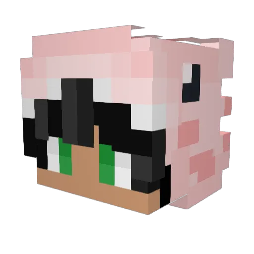 AKAIceBorg Minecraft avatar head, 3D render