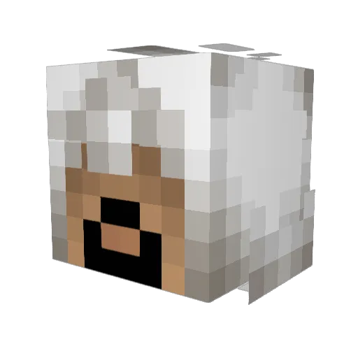 AKANI007 Minecraft avatar head, 3D render