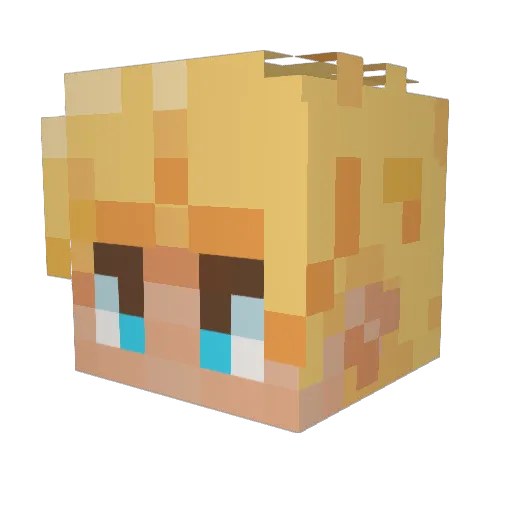 AKASHI62 Minecraft avatar head, 3D render