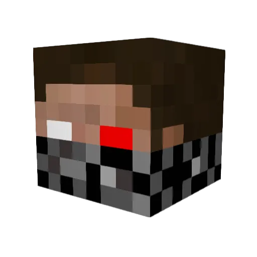 AKA_10 Minecraft avatar head, 3D render