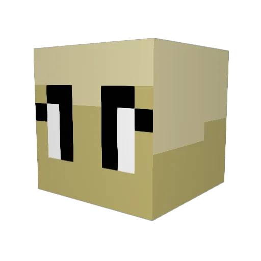 AKA_TBD Minecraft avatar head, 3D render