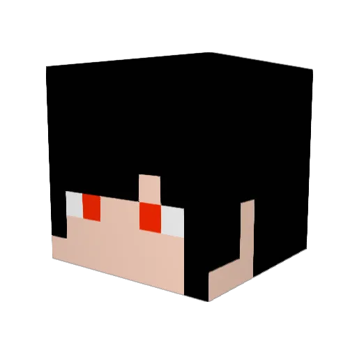 AKIISHI01 Minecraft avatar head, 3D render