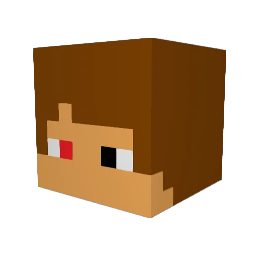 AKIN1537 Minecraft avatar head, 3D render