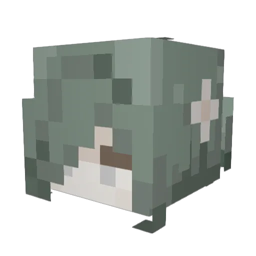 AKIRAdotEXE Minecraft avatar head, 3D render