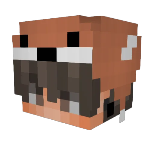 AKI_0818 Minecraft avatar head, 3D render