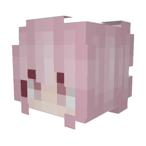 AKJD Minecraft avatar head, 3D render