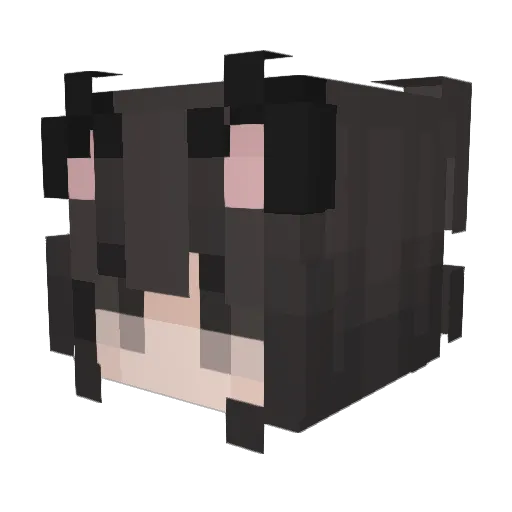 AKMji Minecraft avatar head, 3D render