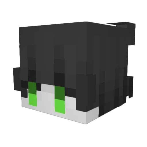AKNEO1000 Minecraft avatar head, 3D render