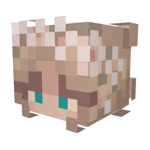 AKSTABS Minecraft avatar head, 3D render