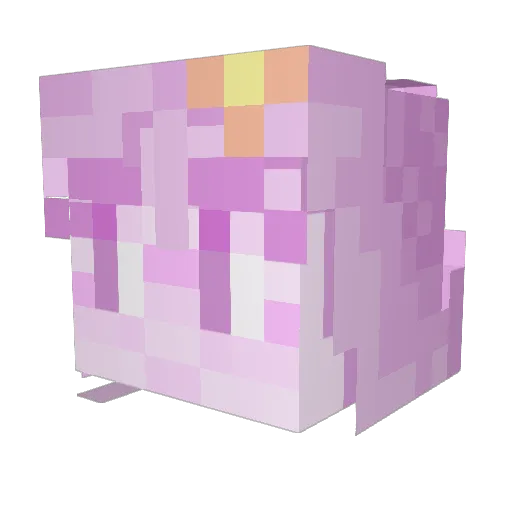 AK_Scoot Minecraft avatar head, 3D render