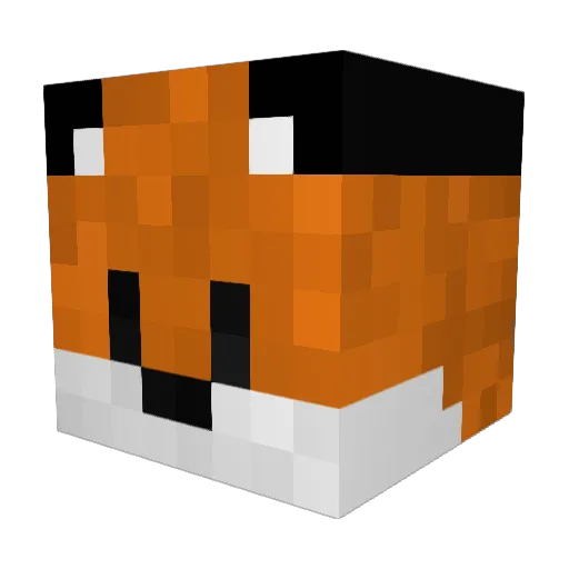 AK_Zorro Minecraft avatar head, 3D render