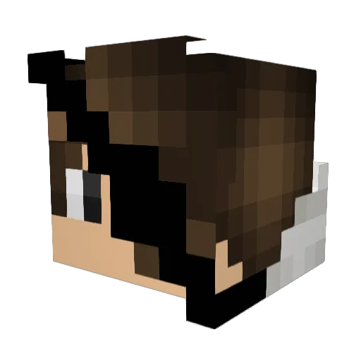 ALANECZEK Minecraft avatar head, 3D render