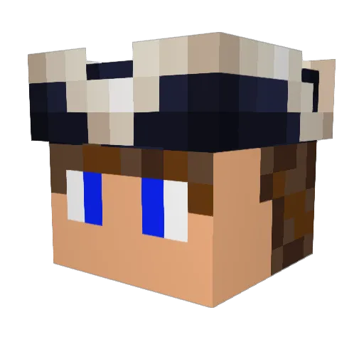 ALC11 Minecraft avatar head, 3D render