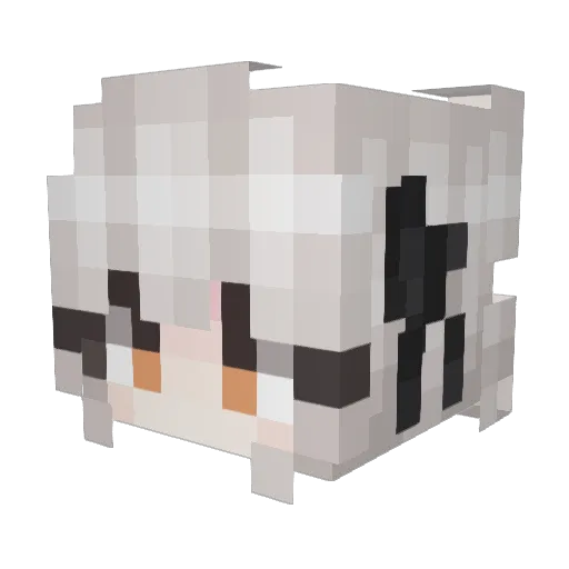 ALCOHOL_SU Minecraft avatar head, 3D render
