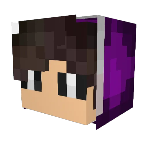 ALEPTIO__YT Minecraft avatar head, 3D render