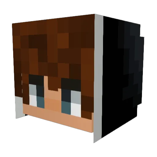 ALEXANDERSALCEDO Minecraft avatar head, 3D render