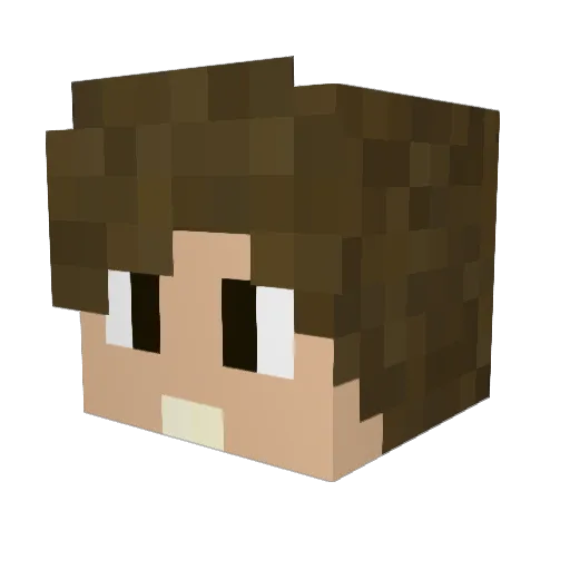 ALEXFULDECO Minecraft avatar head, 3D render