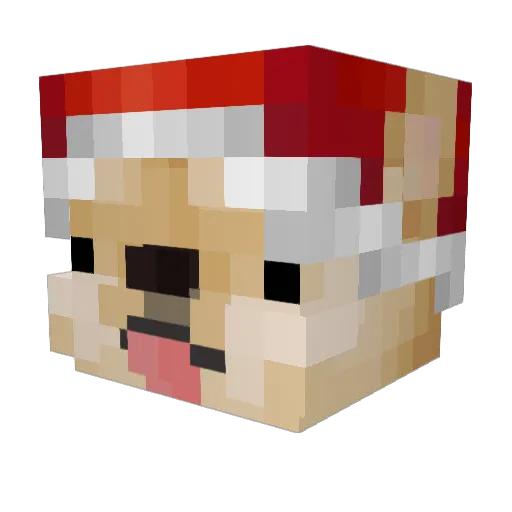 ALEXMONEY Minecraft avatar head, 3D render