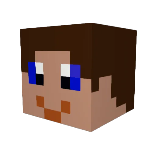 ALE_2000_ Minecraft avatar head, 3D render