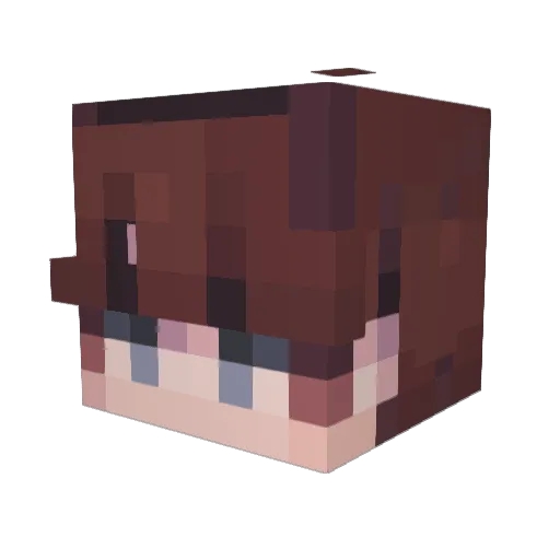 ALE____ Minecraft avatar head, 3D render