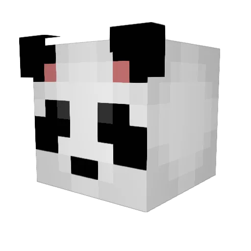 ALEisgood101 Minecraft avatar head, 3D render