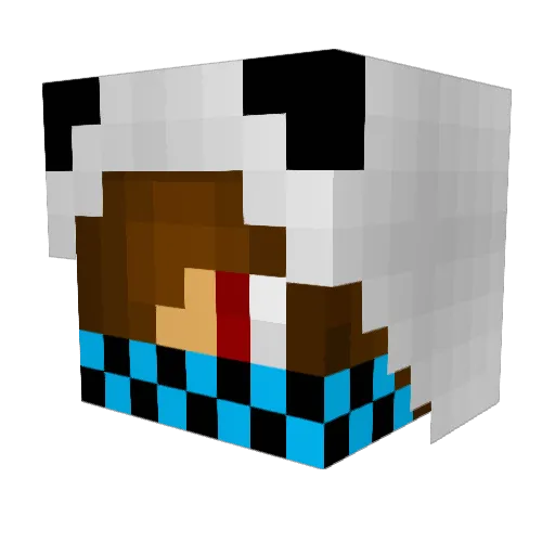 ALGIRION Minecraft avatar head, 3D render