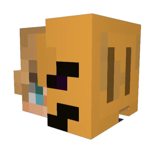 ALIDOENER28 Minecraft avatar head, 3D render