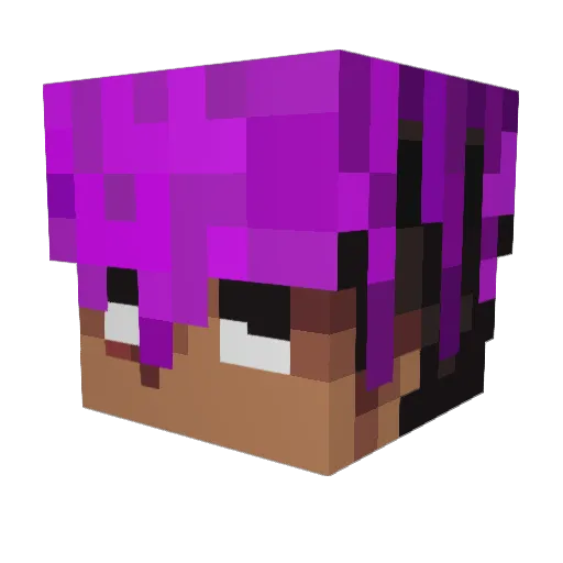 ALLAHGOTTHEDRIP Minecraft avatar head, 3D render