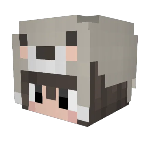 ALLYME Minecraft avatar head, 3D render