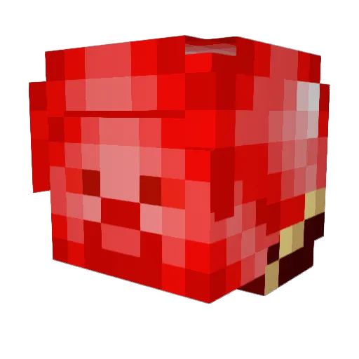 ALON21 Minecraft avatar head, 3D render