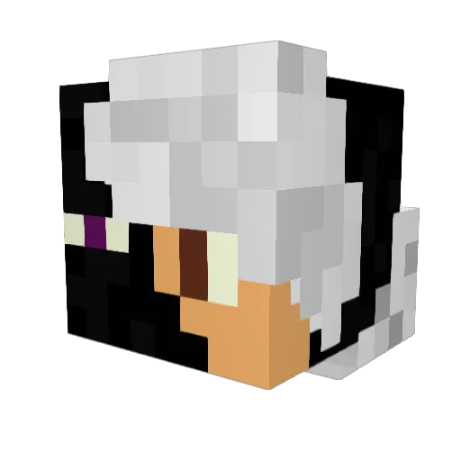 ALON3 Minecraft avatar head, 3D render