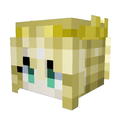 ALS2014 Minecraft avatar head, 3D render