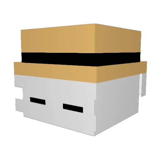 ALT_Raidn Minecraft avatar head, 3D render
