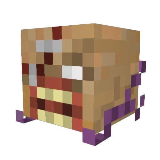 ALeakyDong Minecraft avatar head, 3D render