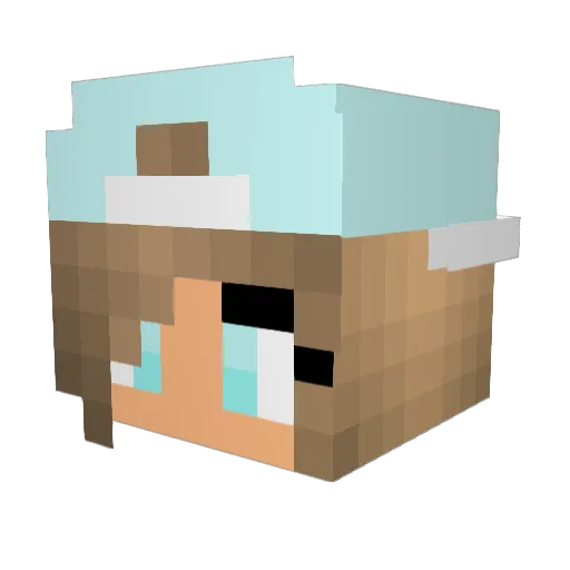 ALittleGamer12 Minecraft avatar head, 3D render