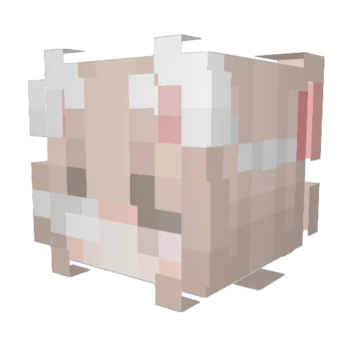 ALjia Minecraft avatar head, 3D render