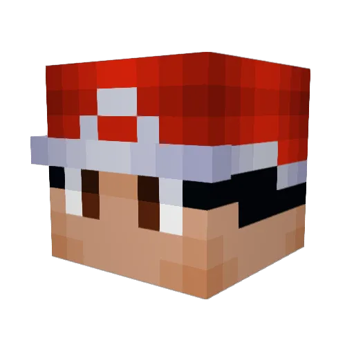 ALotOfSalt Minecraft avatar head, 3D render