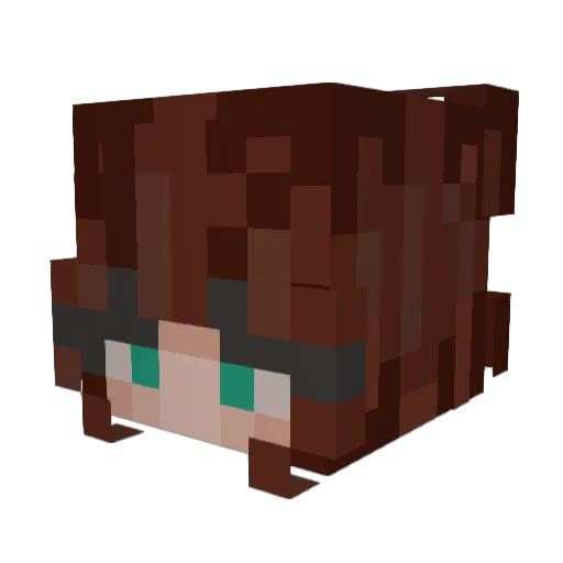 AM119 Minecraft avatar head, 3D render