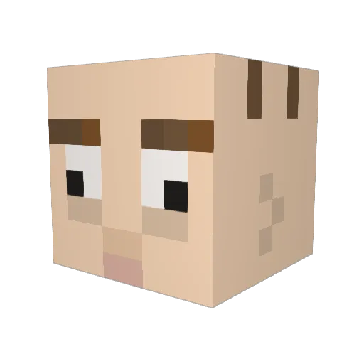 AM30ss Minecraft avatar head, 3D render