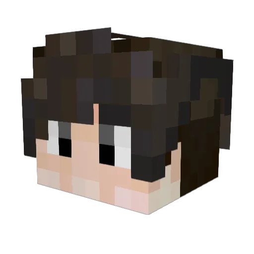 AMAI567 Minecraft avatar head, 3D render