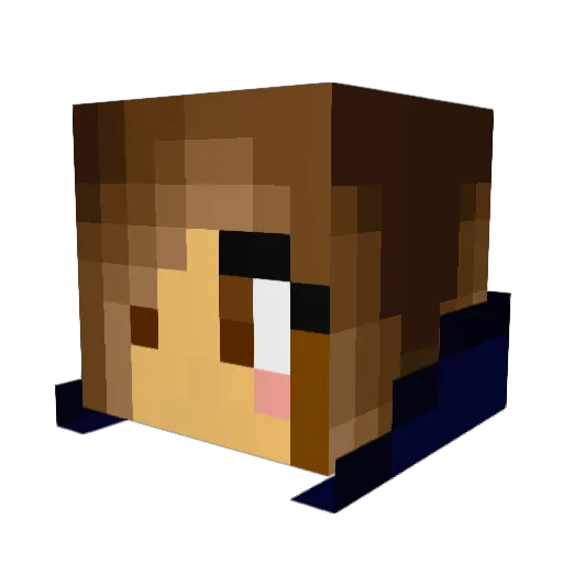 AMD421 Minecraft avatar head, 3D render