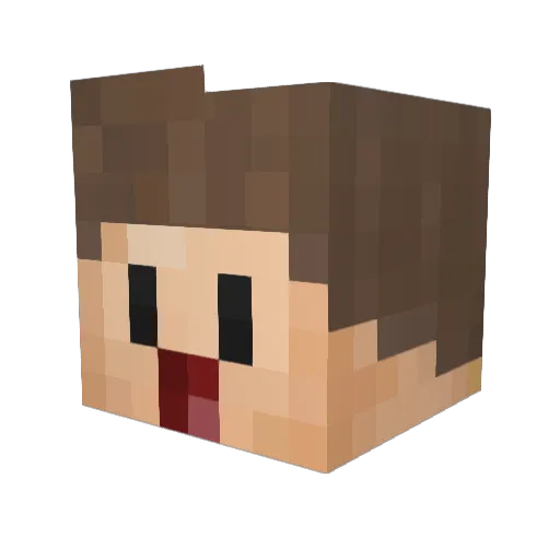 AMD8 Minecraft avatar head, 3D render