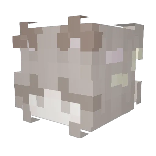 AMELIA_BEST Minecraft avatar head, 3D render